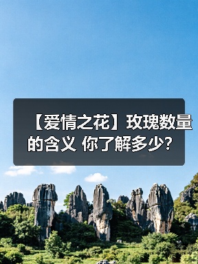 【爱情之花】玫瑰数量的含义 你了解多少？（图2）