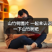 山竹树图片 一起来认识一下山竹树吧(图3) 山竹树图片 一起来认识一下山竹树吧(图3)