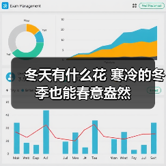 冬天有什么花 寒冷的冬季也能春意盎然（图4）