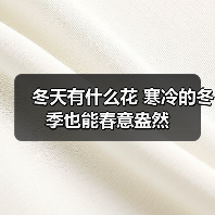 冬天有什么花 寒冷的冬季也能春意盎然（图2）