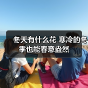 冬天有什么花 寒冷的冬季也能春意盎然（图1）