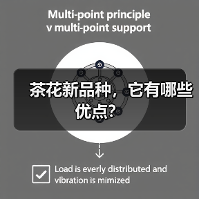茶花新品种，它有哪些优点？（图4）