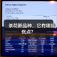 茶花新品种，它有哪些优点？（图2）