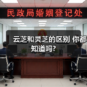 云芝和灵芝的区别 你都知道吗?（图3）