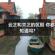 云芝和灵芝的区别 你都知道吗?（图4）