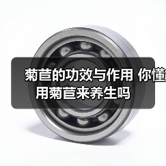 菊苣的功效与作用 你懂用菊苣来养生吗(图4) 菊苣的功效与作用 你懂用菊苣来养生吗(图4)