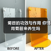 菊苣的功效与作用 你懂用菊苣来养生吗(图3) 菊苣的功效与作用 你懂用菊苣来养生吗(图3)