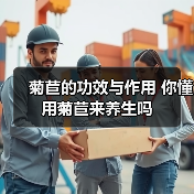 菊苣的功效与作用 你懂用菊苣来养生吗(图1) 菊苣的功效与作用 你懂用菊苣来养生吗(图1)