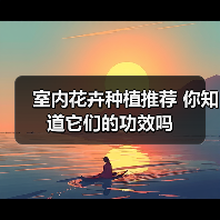 室内花卉种植推荐 你知道它们的功效吗（图1）