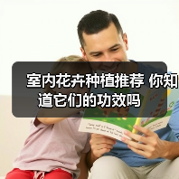 室内花卉种植推荐 你知道它们的功效吗（图2）
