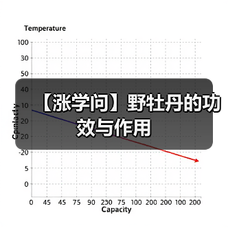 【涨学问】野牡丹的功效与作用