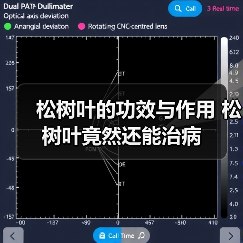 松树叶的功效与作用 松树叶竟然还能治病（图2）
