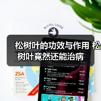 松树叶的功效与作用 松树叶竟然还能治病（图4）