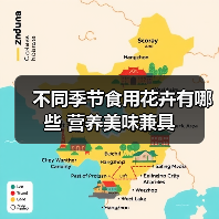 不同季节食用花卉有哪些 营养美味兼具（图1）
