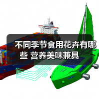 不同季节食用花卉有哪些 营养美味兼具（图4）