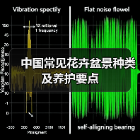 中国常见花卉盆景种类及养护要点（图2）