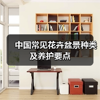 中国常见花卉盆景种类及养护要点（图1）