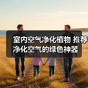 室内空气净化植物 推荐净化空气的绿色神器（图1）
