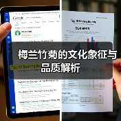 梅兰竹菊的文化象征与品质解析（图1）