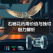 石楠花药用价值与独特魅力解析（图2）