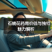 石楠花药用价值与独特魅力解析（图4）