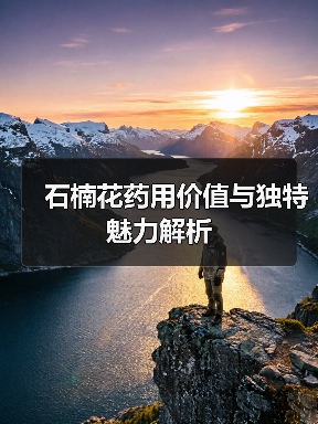 石楠花药用价值与独特魅力解析（图1）