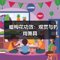 蜡梅花功效：观赏与药用兼具（图3）