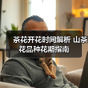 茶花开花时间解析 山茶花品种花期指南（图1）