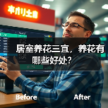 居室养花三宜,养花有哪些好处?(图3) 居室养花三宜,养花有哪些好处?(图3)