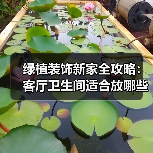 绿植装饰新家全攻略：客厅卫生间适合放哪些植物？（图3）