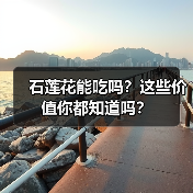 石莲花能吃吗？这些价值你都知道吗？（图1）