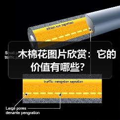 木棉花图片欣赏：它的价值有哪些？（图1）