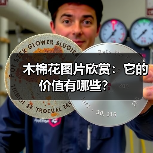 木棉花图片欣赏：它的价值有哪些？（图2）