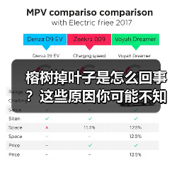榕树掉叶子是怎么回事？这些原因你可能不知道（图3）
