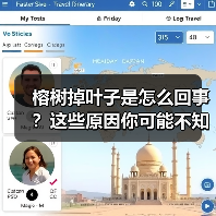 榕树掉叶子是怎么回事？这些原因你可能不知道（图1）