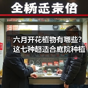 六月开花植物有哪些？这七种超适合庭院种植（图3）