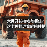 六月开花植物有哪些？这七种超适合庭院种植（图2）