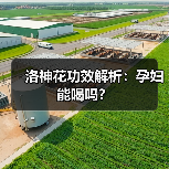 洛神花功效解析：孕妇能喝吗？（图3）