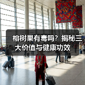 榕树果有毒吗？揭秘三大价值与健康功效（图2）
