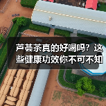 芦荟茶真的好喝吗？这些健康功效你不可不知（图3）