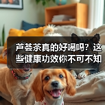 芦荟茶真的好喝吗？这些健康功效你不可不知（图4）
