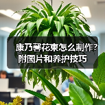 康乃馨花束怎么制作？附图片和养护技巧（图2）