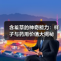 含羞草的神奇能力：样子与药用价值大揭秘（图4）
