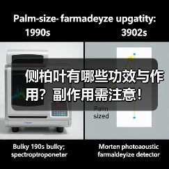 侧柏叶有哪些功效与作用？副作用需注意！（图1）