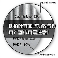 侧柏叶有哪些功效与作用？副作用需注意！（图4）