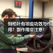 侧柏叶有哪些功效与作用？副作用需注意！（图2）