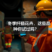 冬季扦插花卉，这些品种你试过吗？（图3）