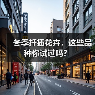 冬季扦插花卉，这些品种你试过吗？（图2）