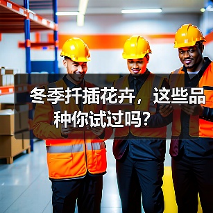 冬季扦插花卉，这些品种你试过吗？（图4）