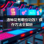 洛神花有哪些功效？保存方法全解析（图2）